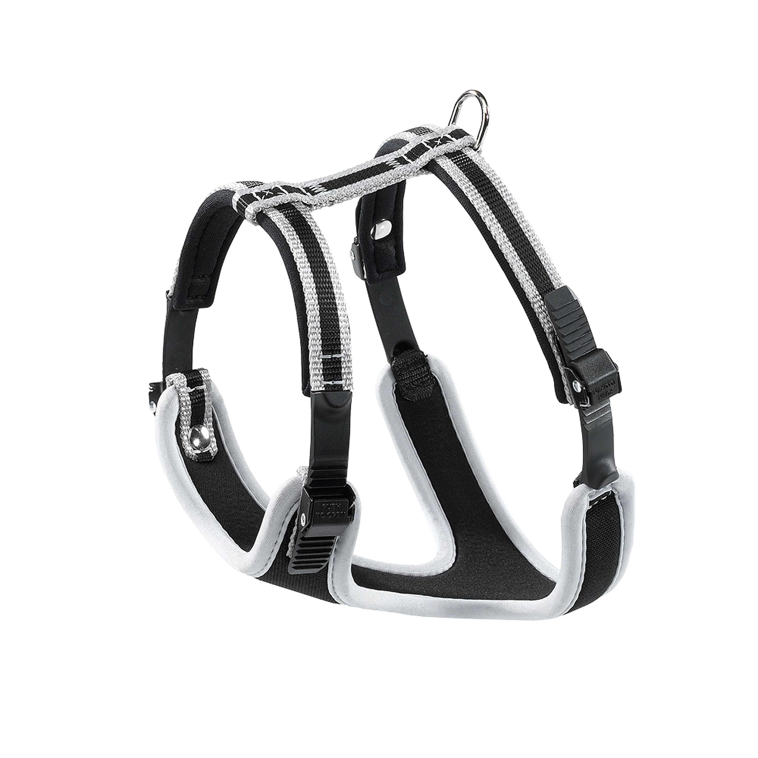 Dogs News