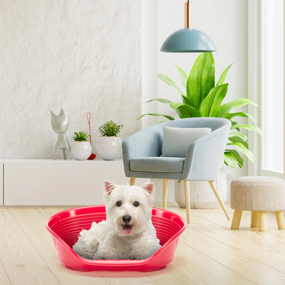 Product image 80