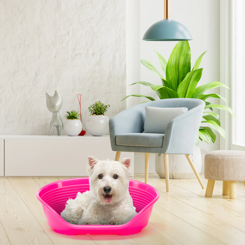 Product image 81